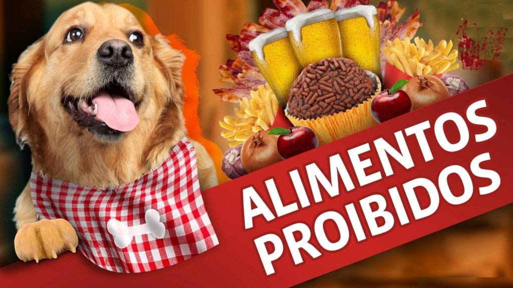 alimentos proibidos para cachorro Melhores Petiscos Naturais para Adestramento