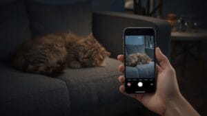 A Melhor Câmera de Monitoramento Wi-Fi com Visão Noturna para Cães e Gatos