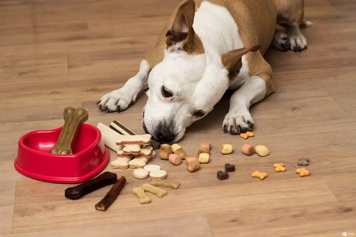 petisco para cachorro natural Melhores Petiscos Naturais para Adestramento
