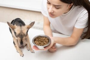 Cachorro Não Come Ração: 7 Táticas Infalíveis