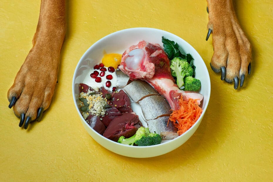 Alimentacao natural para os pets Guia Definitivo de Alimentação Natural para Pets