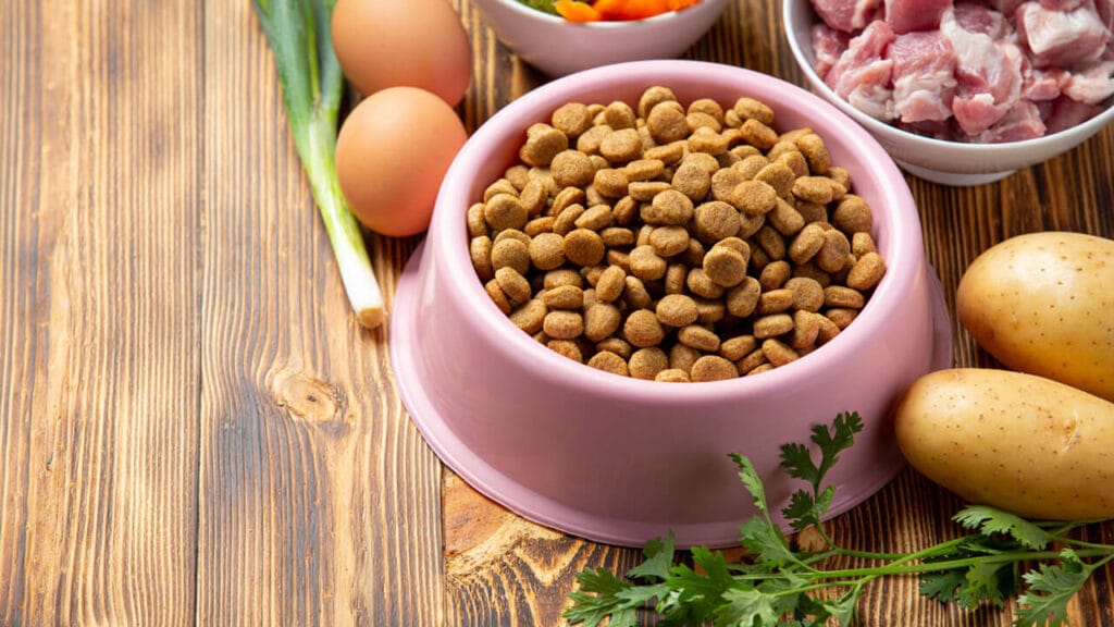 Guia Definitivo de Alimentação Natural para Pets 2 O que e alimentacao natural para pets Guia Definitivo de Alimentação Natural para Pets
