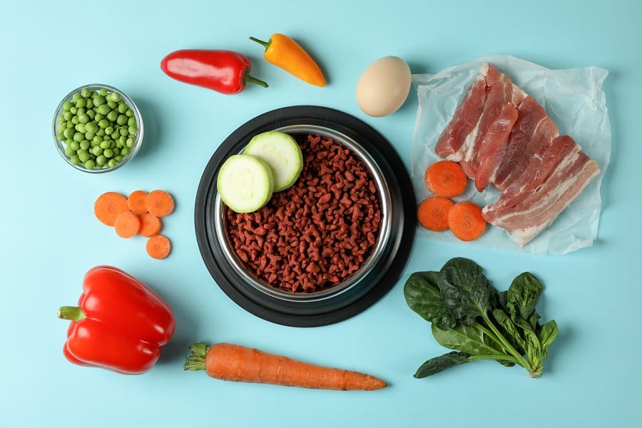 Guia Definitivo de Alimentação Natural para Pets 3 alimentacao natural e caseira para pets Guia Definitivo de Alimentação Natural para Pets